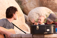 Joshua Tree 2010