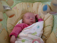 Anderson Babies First Year