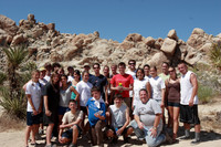 Joshua Tree 2008