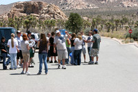 Joshua Tree 2007